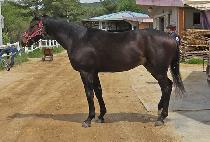 ���ǿ��� (SEONGSIL YEONGUNG) ����