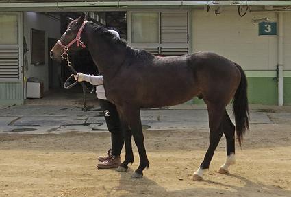 �����Ŀ� ����