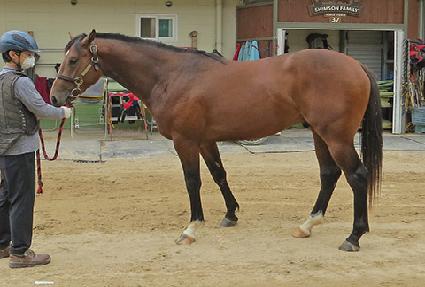 ��溽�� ����