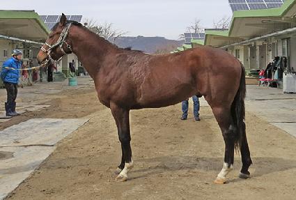 Ʈ����ź���� ����