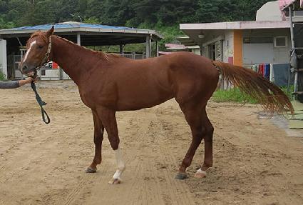 ť�ǵ�̸� ����