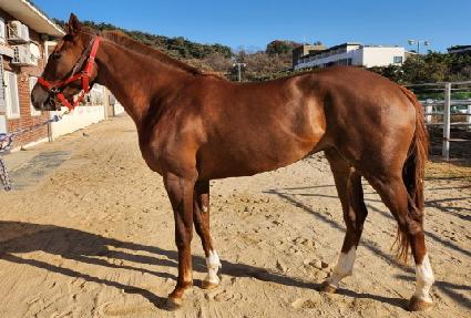 ���ַ����� ����