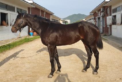 ��Ʈ����ũ�� ����