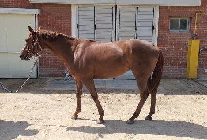 �Ľ��� ����