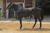 �ָ���ī�� (JURING SKY) ����