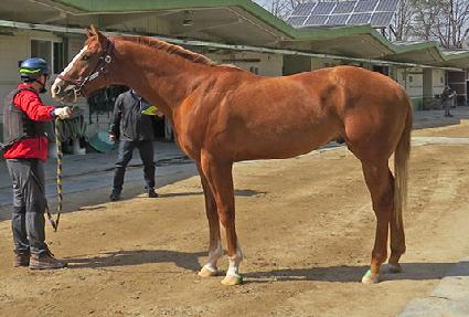 ��Ʈ�պ��� ����