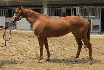 ũ��Ű (CROQUIS) ����