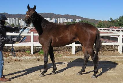 ���� ����