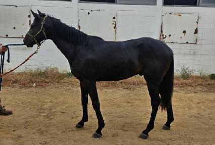 �ö��״���Ű ����