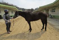 ������ũ (SOON LIKE) ����