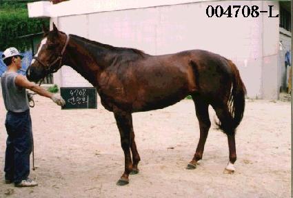 ����ȸ ����