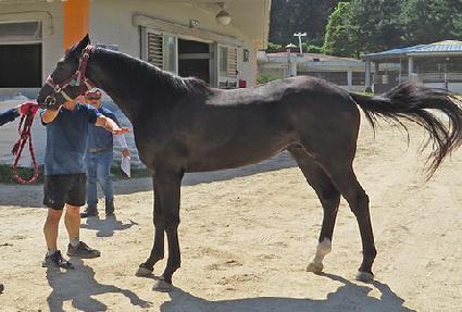 �������� ����