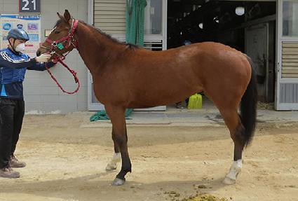 ���緹�� ����