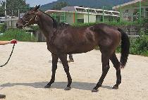 ����Ʈ�Ŀ� (SOFT POWER) ����