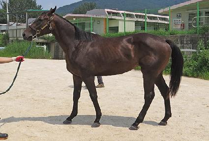 ����Ʈ�Ŀ� ����