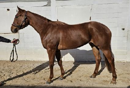 ���Ÿ ����