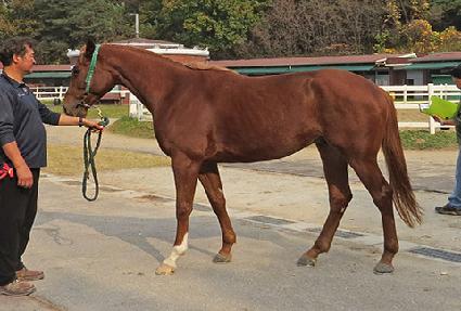 ���ʹ׽��� ����