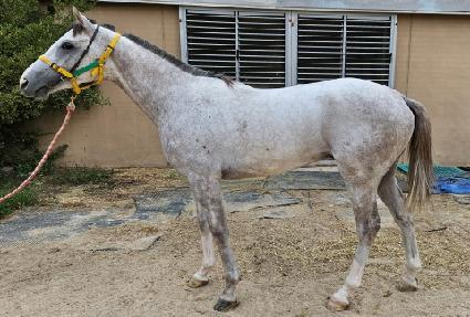 �����̸��� ����