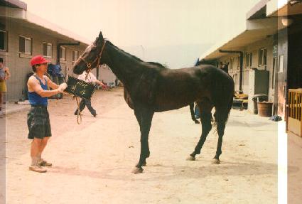 õ�� ����