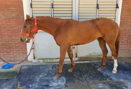 ���ص弭�� ����