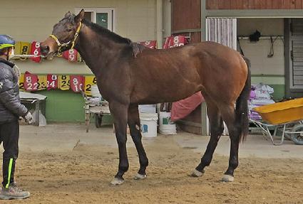 �׼������� ����