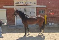 ������Ŭ���� (YEONGGWANGUICLASS) ����