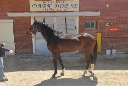 ������Ŭ���� ����