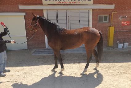 ��Ÿ��ƽ��� ����