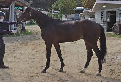 ����Ʈũ���� ����