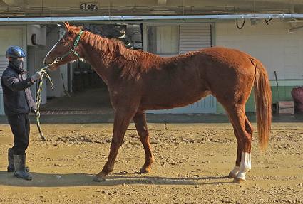 �Ҿ簭�Ѱ� ����