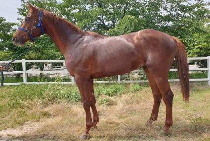 �̷�Ŭ���� ����