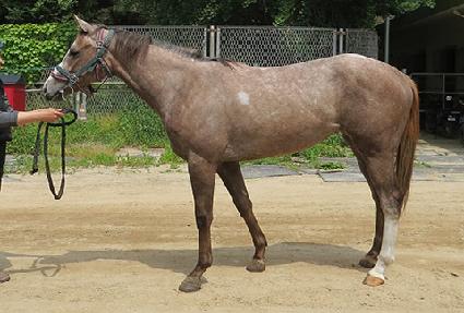 �����ǿ��� ����