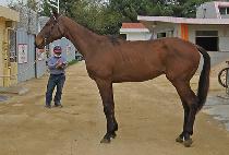 ��Ŭ�������� (ECLIPSE FORCE) ����