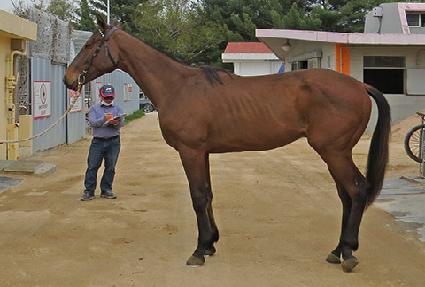 ��Ŭ�������� ����