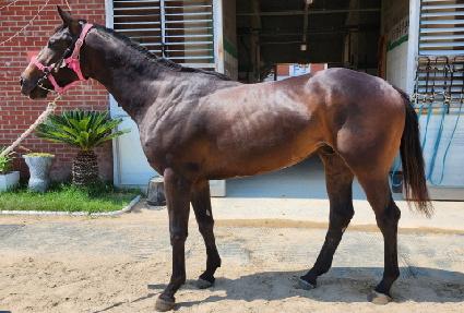 ��¯ ����