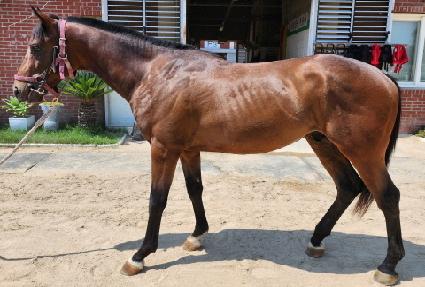 �������� ����