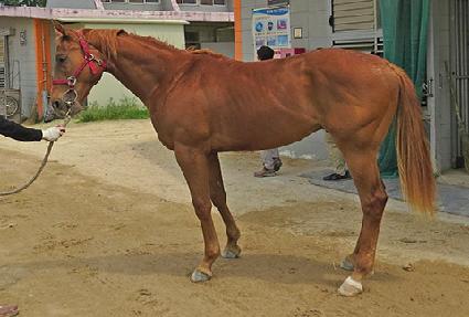 �̽����Ŀ� ����