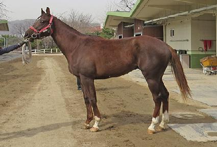 ��õ�������� ����