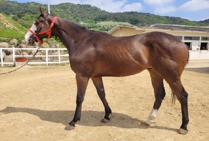 ������������ ����