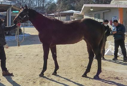 �ö��׷��� ����