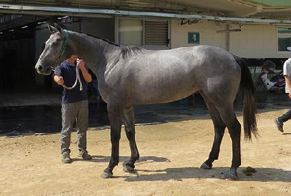 õ������ ����