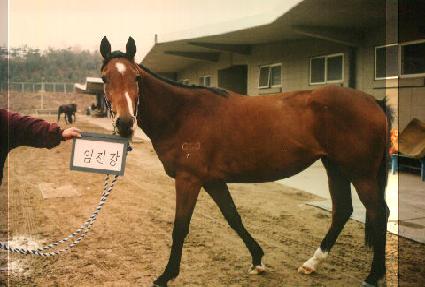 ������ ����