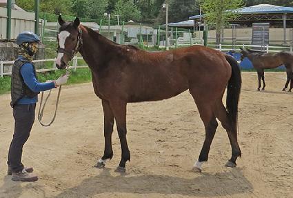 ��Ű�����ڸ� ����