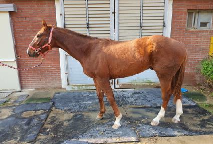 ���̺��� ����