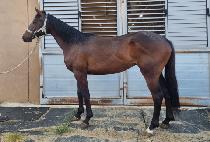 �轺�� (SOCKS WANG) ����