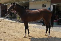 ����Ʈ���̿� (SMART A ONE) ����