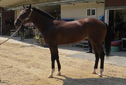 ����Ʈ���̿� ����