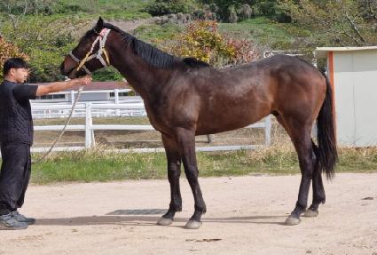 �ϴø��� ����