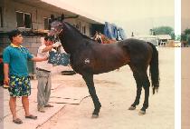 �︪�� (WOOL REUNG DO) ����