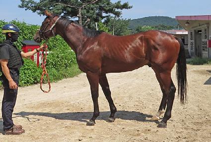 �۷ι����� ����